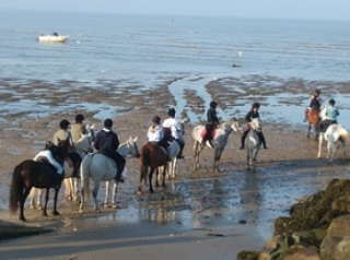  Group horse riding trip 
